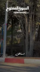  5 سكودا أوكتافيا 2019 للبيع