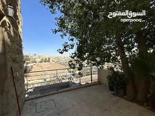  12 شقة مفروشة للإيجار في عبدون  ( Property 39400 )-175064070