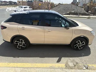  8 NETA AYA 2023
