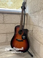  1 Fender Guitar