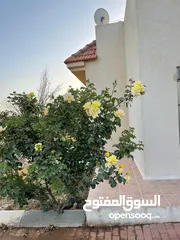  12 بيت مستقل بسلفيت   مساحة 1530 بحديقة رائعة