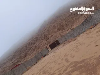  8 ارض للبيع في دبة حانوت تبعد عن مدينة العقبه 40 دقيقه