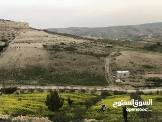  4 أرض بسعر مغري