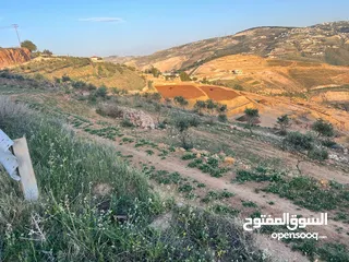  12 ارض للبيع جرش المجدل راس دبوس مطله على سد الملك طلال مستويه مستصلحه بسعر مغري