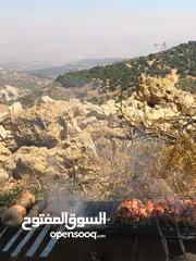  12 فرصة استثمارية! أرض زراعية مميزة بسعر مغري و بالقرب من أحراش الدولة للمزيد من المعلومات اقرأ الوصف