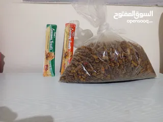  6 قط شيرازي ابيض واسود للبيع مع اغراضه