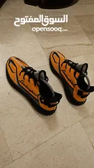  3 Lamborghini shoes 42