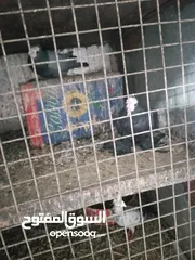  28 متاح جواز و حبات فلت موجودات طبربور سعرهن كويس