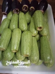  14 طعام جاهز بيتي