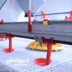  19 إنشاء وتجهيز مزارع الدواجن بنظام الحديثه