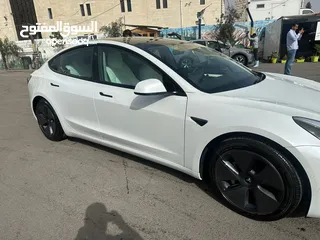  6 Tesla model 3 standard plus 2021