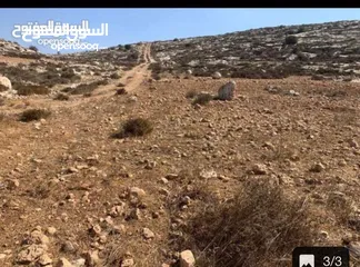  3 ارض مميزة كوشان طابو الف