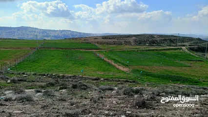  4 نمرتين ارض للبيع