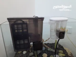  3 حوض اسماك كريستال