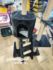  7 خداشة قطط مع بيوت خارجي و داخلي خشب مدعم قماش ،  ناعم ، احمي اثاثك من تخديش القطط