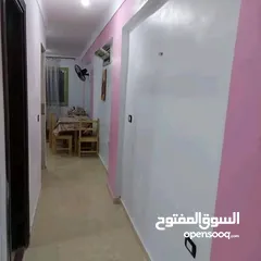  3 شقة سيدى بشر بحرى محمد نجيب بانوراما