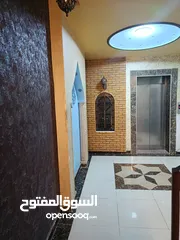  1 شقه فاخره  للايجار ( ديكورات فخمه )