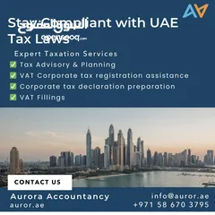  2 Accounting/Tax Consulting