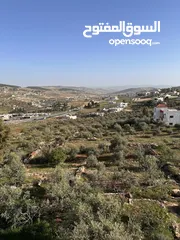  2 ارض للبيععع  من المالك مباشرة رقم التواصل بالوصف