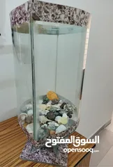  3 حوض سمك للبيع