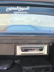  5 بي ام دبليو الدب
