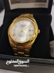  1 Brand New Citizen B10952-55C Watch With Active Warranty