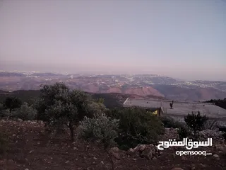  14 ارض للبيع مساحة4300م وعلى الواقع 12دونم تصلح بيت ريفي شاليه ارض زراعيه ويوجد فيها بيت قيد الانشاء