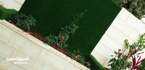  9 سكن صبايا في وسط البلد