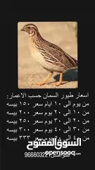  1 سمان مع الذبح 3 حبت ریال