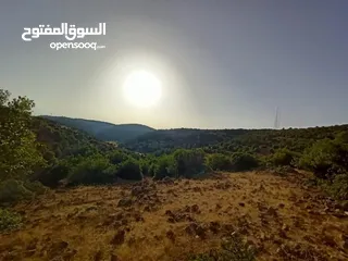  6 أرض متعددة الاستخدامات في أجمل مناطق عجلون