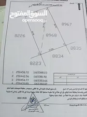 5 قطعه أرض قوشان مستقل للبيع  كاش فقط لا يوجد اقساط