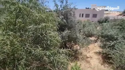  1 ارض على طريق المطار خلف المدارس العالمية 918 متر من المالك مباشره سكن أ خاص تصلح لبناء فيلا