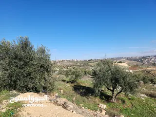  9 ارض مميزة 700 متر في ابو نعير