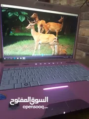  2 توشيبا  كور اي 5