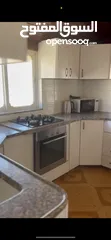  8 شقه مفروشه للإيجار بشارع وادي معالي / مار شيربل  Furnished Roof Apartment for Rent