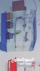  3 حب للبيع او البدل شوف الوضف