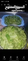  11 ملوخيه وورق عنب وفول وفاصوليا وسبانخ وخضار فروزن