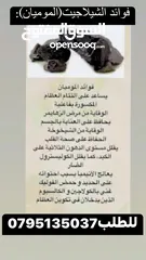  31 دحدح وجبنه غنم وملوخيه وورق عنب بلدي ومقدوس ودبس عنب ودبس خروب ورمان وعسل ومعمول وشوكلاته وزيتو وزيت