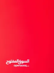  1 20 قط للتبني