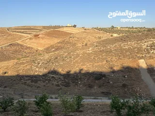  6 أرض زراعية للبيع في سيحان / البلقاء 5 دونمات و 300 متر.