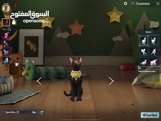  8 ببجي حساب حلو