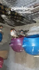  9 حمام للبيع
