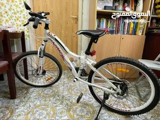  1 Geared Bicycle