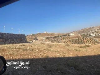  1 قطعة ارض للبيع ( ام رمانة )  واصل جميع الخدمات (حي القاسم )