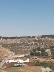  13 5300م حوض الروضه حوض المصدار بسعر لقطه طاله على سيل حسبان