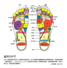  12 حذاء المساج الطبي Massage Slipper شبشب مساج تدليك القدمين