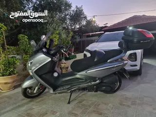  1 فزبا سيم جوي ماكس 250 ضفه