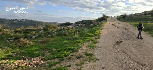  11 دونم ارض طابوا فلسطيني منطقة (B)بالقرب من دوار كفرصور جميع الخدمات فيها عليها شارع 12متر موقع مميز