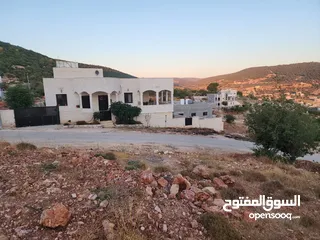  17 قطع سكنيه (سكن ج ) منطقه(عين جنا/ عجلون) وسط البلد،مرتفعه واطلاله جميلة على القلعة واصل جميع الخدمات