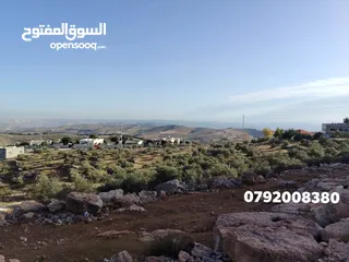  23 فرصه للشراء ارض مشجره جاهزه داخل التنظيم ومخدومه شارع معبد خدمات كامله ومطله
